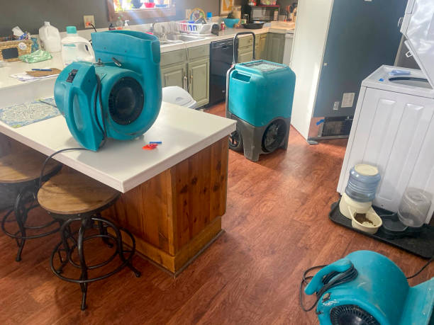 Best 24/7 water damage repair  in Chadds Ford, PA
