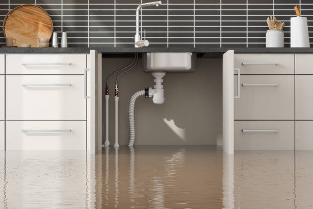 Best Flood restoration services  in Chadds Ford, PA
